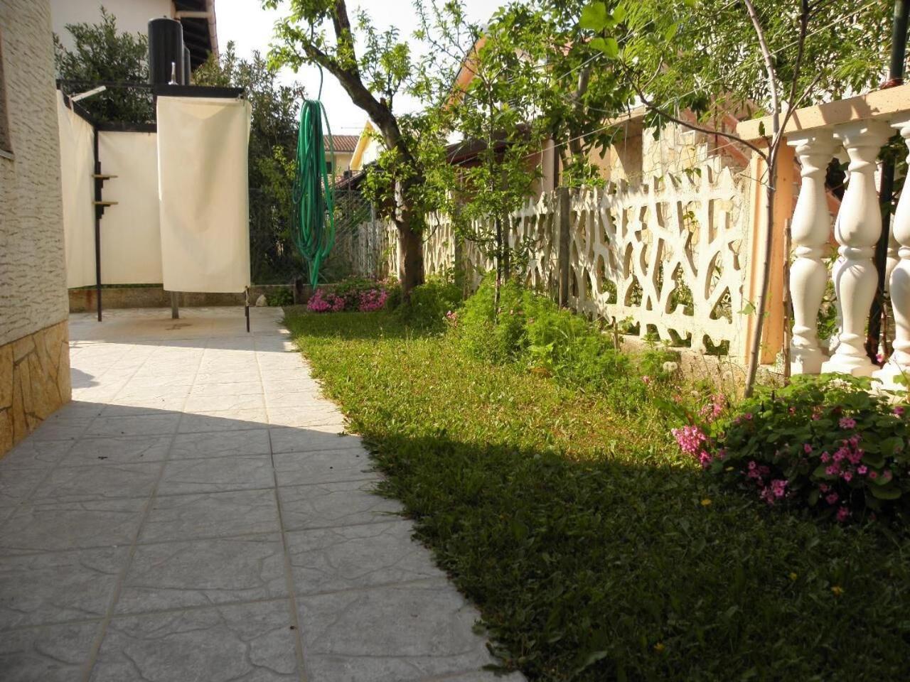 Apartments Petar - 30 M From Sandy Beach Nin Buitenkant foto